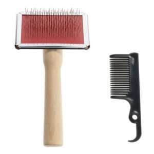 Soft Brush and Brush Cleaner