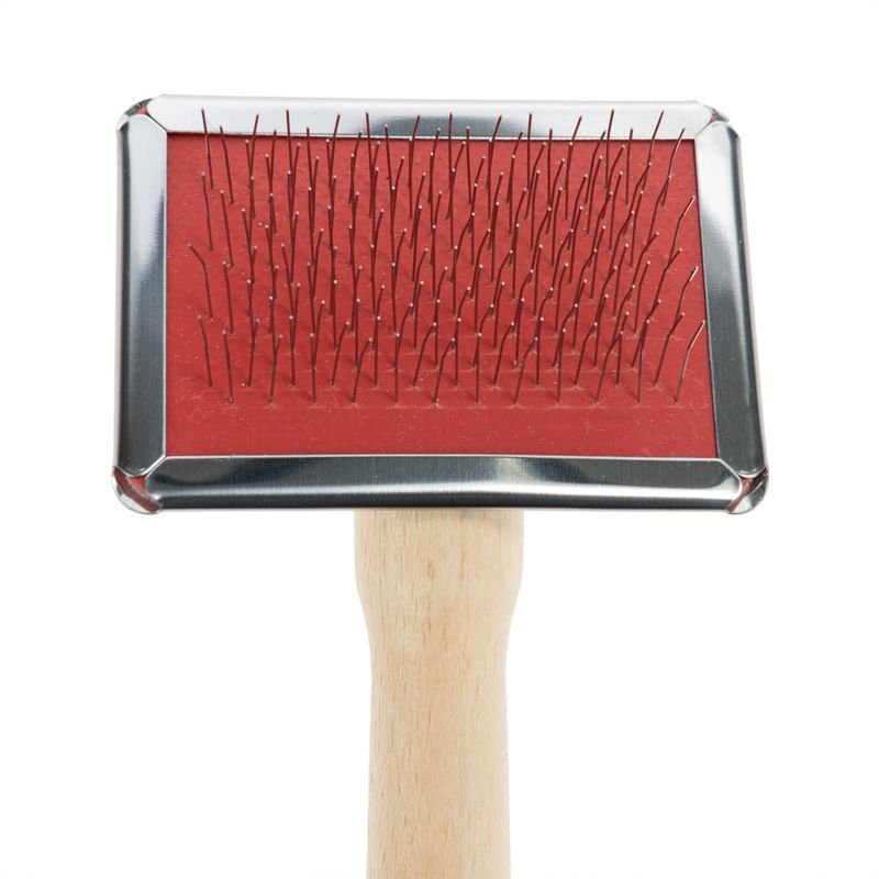 Soft Brush and Brush Cleaner - Image 3