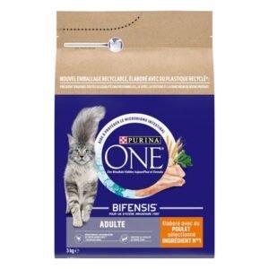 PURINA ONE Adult Chicken Dry Cat Food