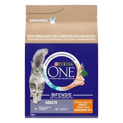PURINA ONE Adult Chicken Dry Cat Food